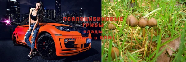 хмурый Протвино