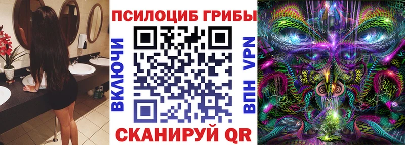 Псилоцибиновые грибы Magic Shrooms  наркошоп  Скопин 