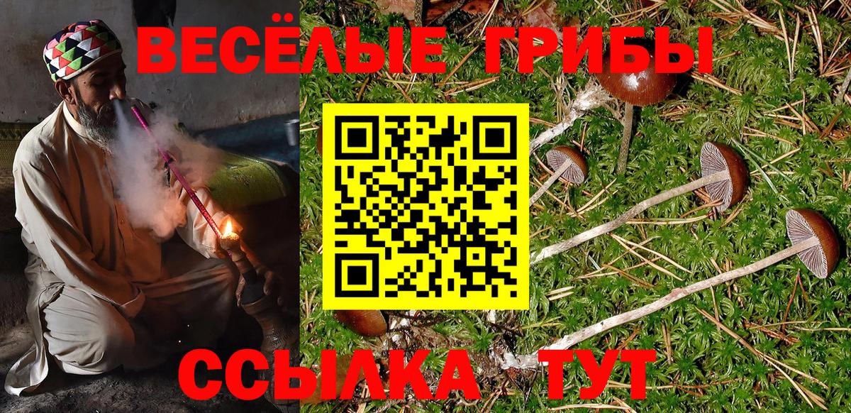 Галлюциногенные грибы GOLDEN TEACHER Скопин