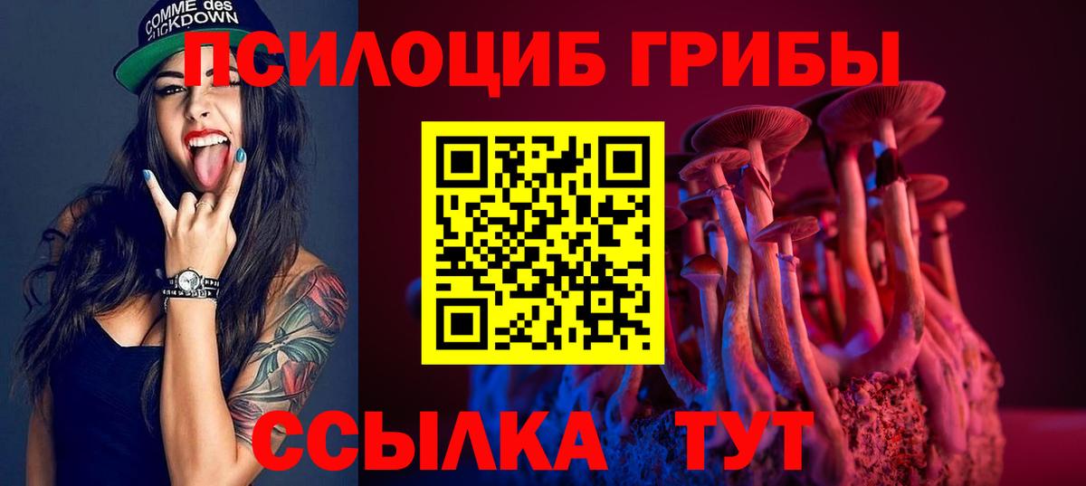Скопин  Галлюциногенные грибы Psilocybine cubensis  Вход с VPN 
